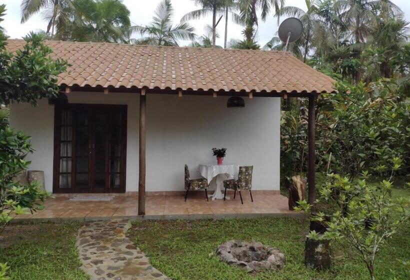 Номер Стандарт, Armazém Do Porto, Chalé Azaléia