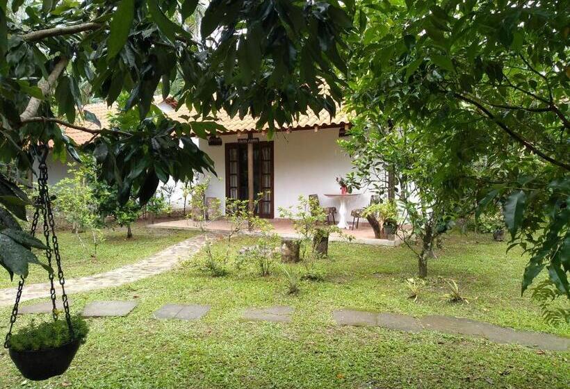 Номер Стандарт, Armazém Do Porto, Chalé Azaléia