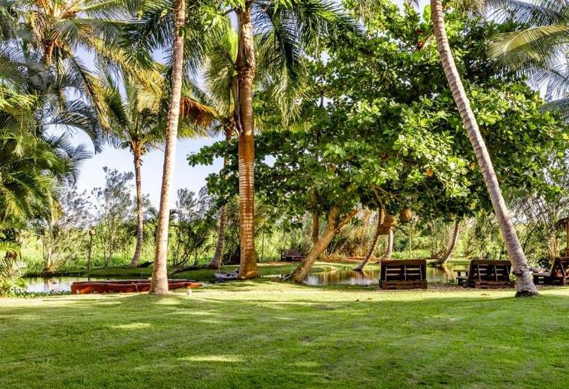 غرفة ديلوكس, Kibayo Lagoon Villa