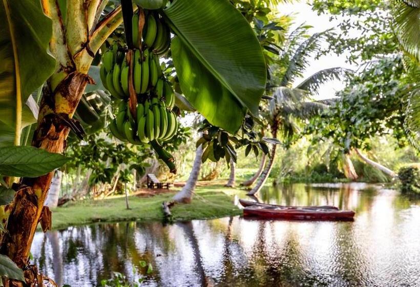 Номер Стандарт Вид на Сад, Kibayo Lagoon Villa