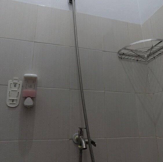 Номер Стандарт, Padekosan