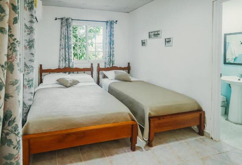 标准间, Sunset Catalina