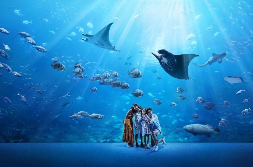 اتاق لوکس, Resorts World Sentosa   Hotel Michael