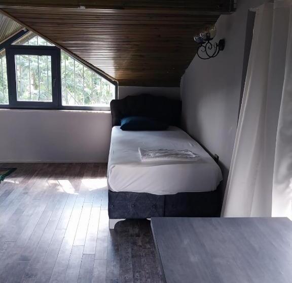 スタンダードシングルルーム, Zema