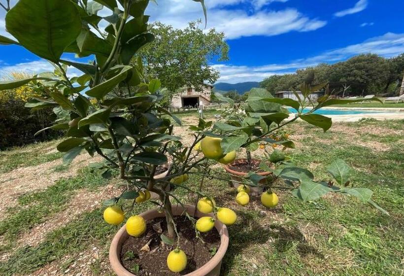 خانه 1 خوابه, Exclusive Pool Open All Year Spoleto Biofarm Slps 8 Village Shops, Bar1 Km 7