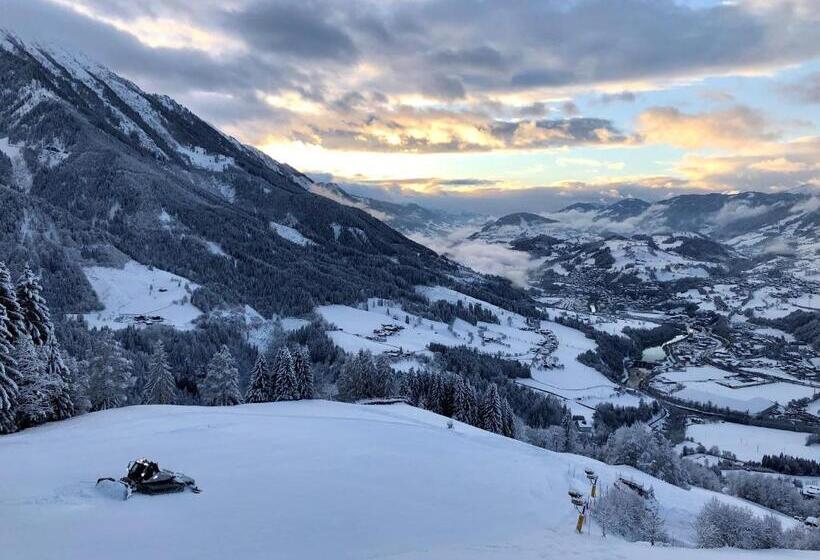 스탠다드 룸 산 전망, Alpendorf Hotel Stern