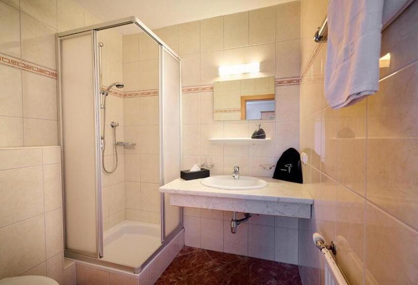 스탠다드 룸 산 전망, Alpendorf Hotel Stern