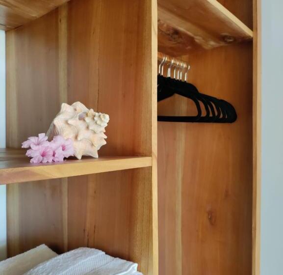 이코노미 룸, Alive Beach House