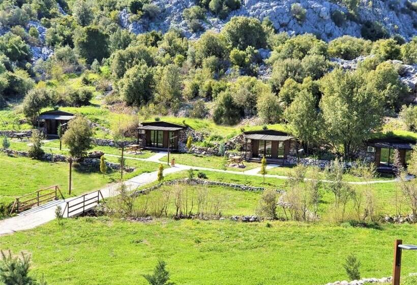 디럭스 룸, Milyos