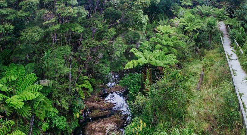 带1个卧室的高级公寓, Sunrise Garden Suites