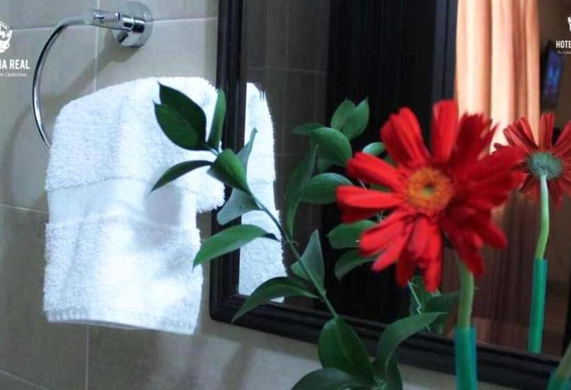 Номер Стандарт, Corona Real