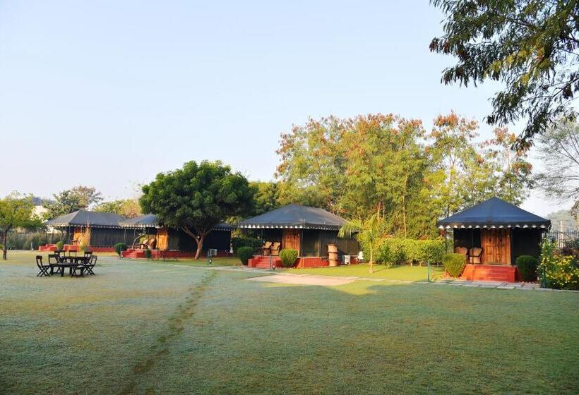 كوخ قياسي, The Shergarh