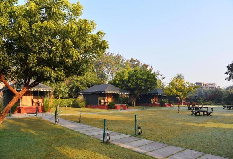 كوخ قياسي, The Shergarh