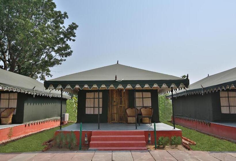 Standard Tent, The Shergarh