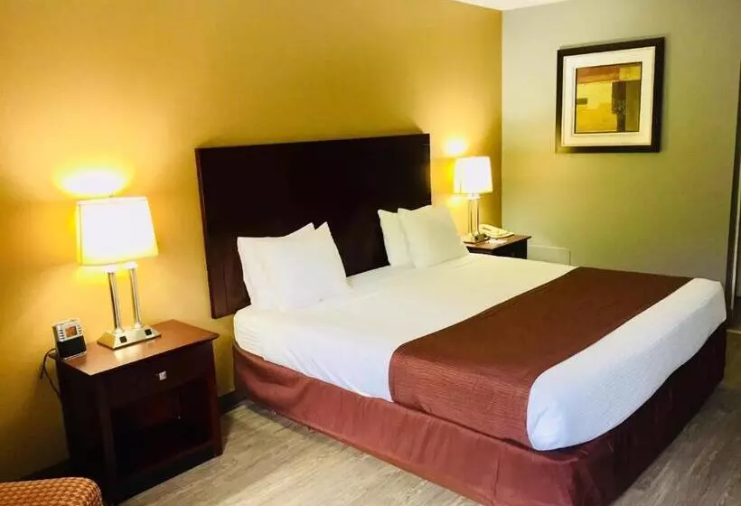 Standard Room King Bed Adapted for people with reduced mobility