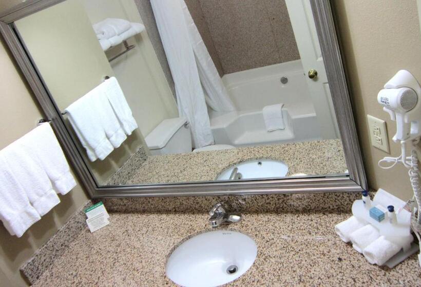 Номер Стандарт Кровать Кинг Адаптированный для Инвалидов, Best Western Butner Creedmoor Inn