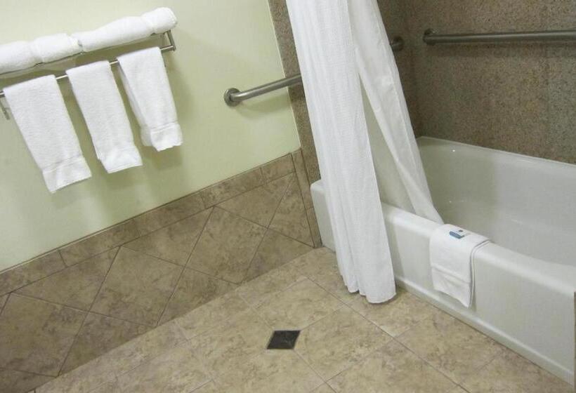 غرفة قياسية سرير كينج لذوى الإحتياجات الخاصة, Best Western Butner Creedmoor Inn