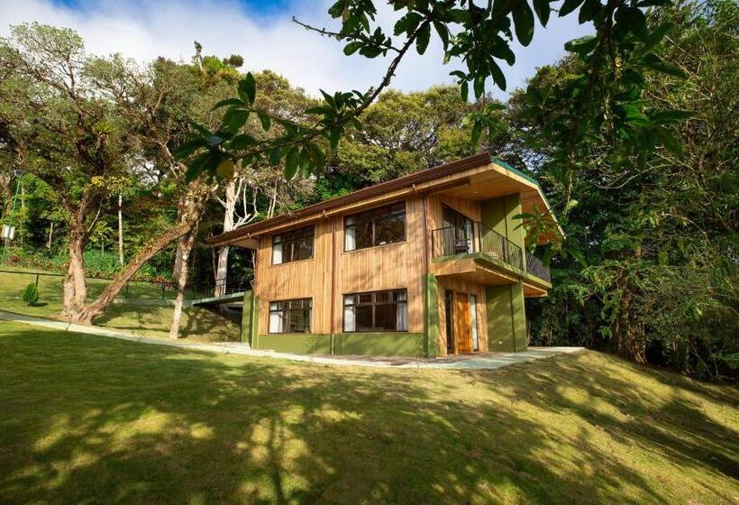 חדר פרמיום לארבעה, Fondavela