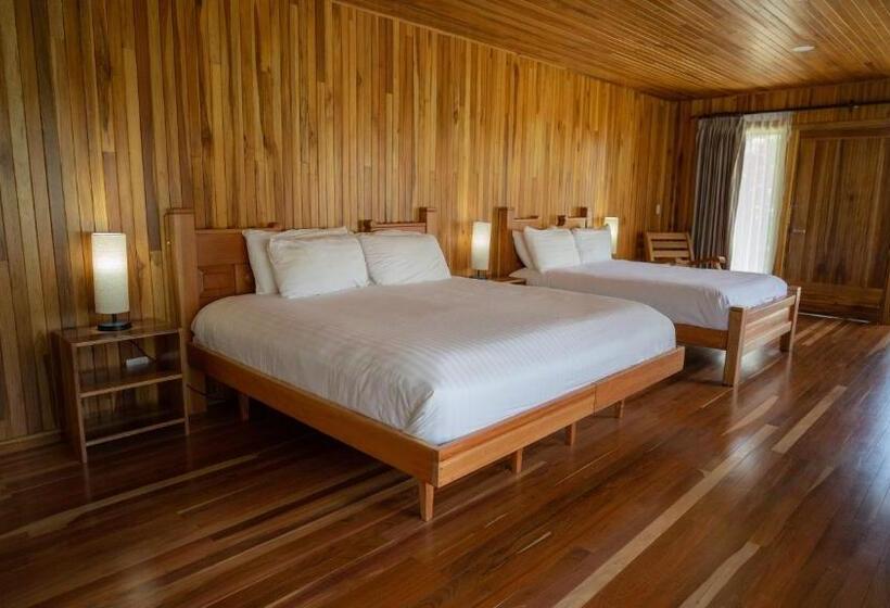 חדר פרמיום לארבעה, Fondavela