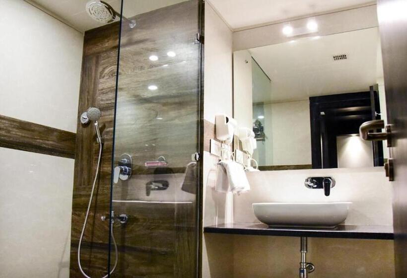 豪华房间, Platinum Shravasti