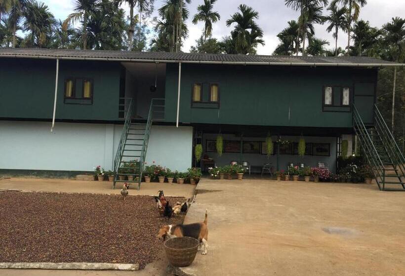 חדר אקונומי, Whispering Willows