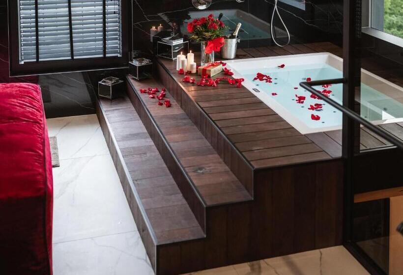 سوئیت پنت هاوس, Art Suites Boutique Hotel Krakow Center