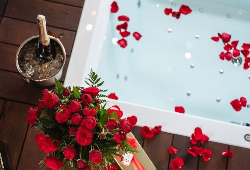 سوئیت پنت هاوس, Art Suites Boutique Hotel Krakow Center