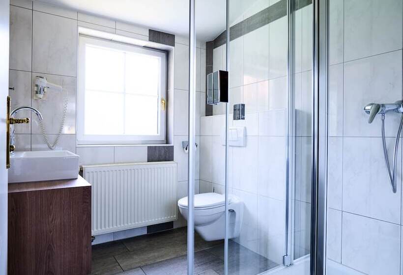 اتاق استاندارد یک نفره, Das Grüne Hotel Zur Post 100 % Bio