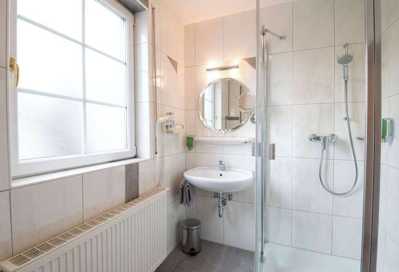 اتاق استاندارد, Das Grüne Hotel Zur Post 100 % Bio