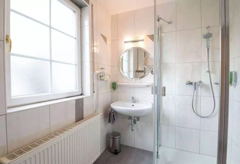 اتاق استاندارد, Das Grüne Hotel Zur Post   100 % Bio