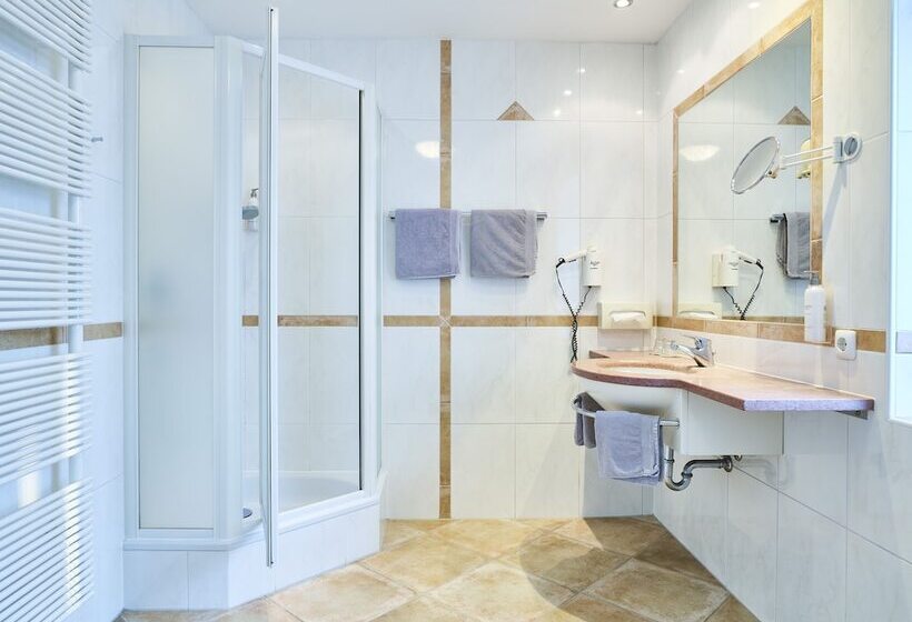 اتاق اکونومی, Das Grüne Hotel Zur Post 100 % Bio