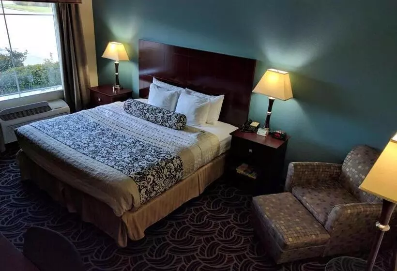 身障者適用キングサイズベッドルーム, Best Western Plus Katy Inn And Suites