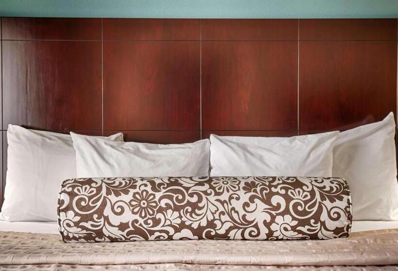 Номер Стандарт Кровать Кинг Адаптированный для Инвалидов, Best Western Plus Katy Inn And Suites