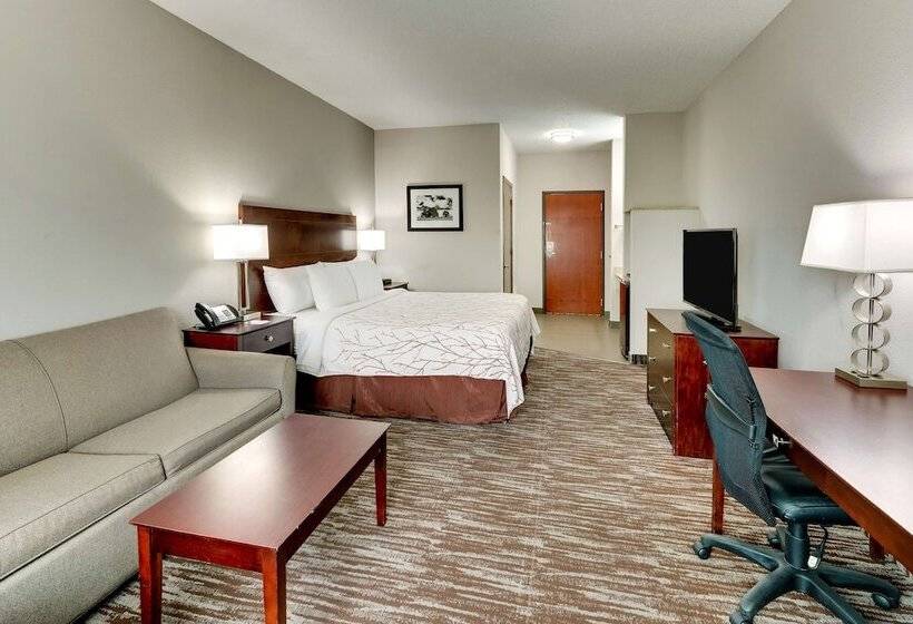 جناح, Best Western Plus University Inn & Suites