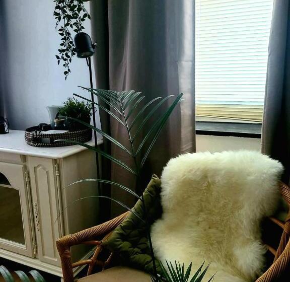 스탠다드 룸 킹사이즈 침대, B & B Bonvert