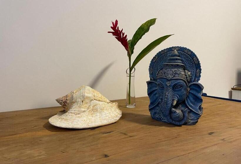 اتاق خانوادگی, Santa Hospedaria Beach