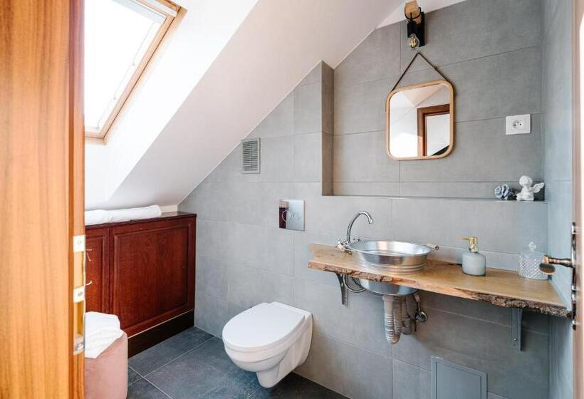 اتاق استاندارد, Petra Inn Apartments In Historical Palace Bratislava