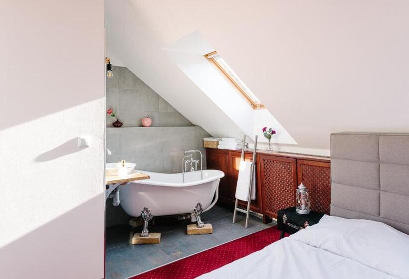 اتاق استاندارد, Petra Inn Apartments In Historical Palace Bratislava