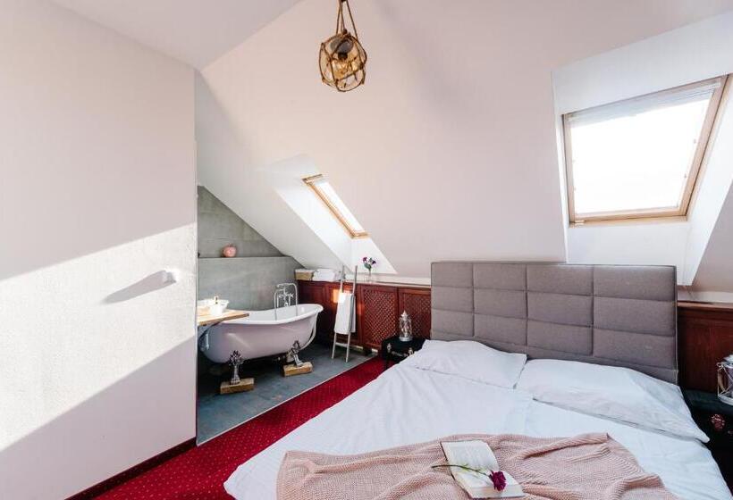 اتاق استاندارد, Petra Inn Apartments In Historical Palace Bratislava