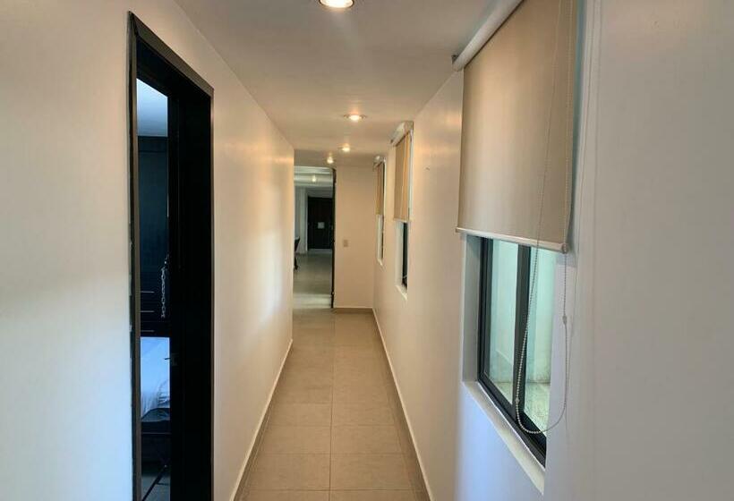 شقة سوبريور غرفة واحدة, Escala Puebla Centro