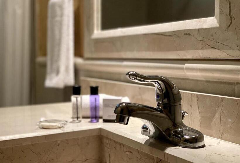 غرفة قياسية سرير كينج, Escala Puebla Centro