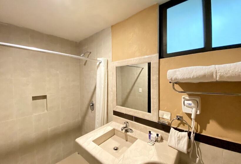 غرفة قياسية, Escala Puebla Centro