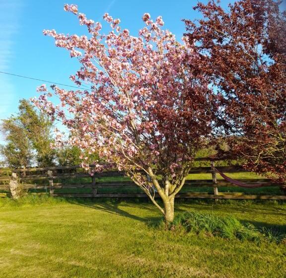 标准间, Shadowvale E34x773