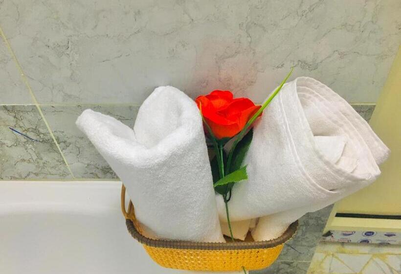 سوییت خانوادگی, Joy Apartments Downtown Cairo