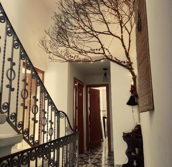 اتاق استاندارد چهارنفره با بالکن, Dhara House Malta