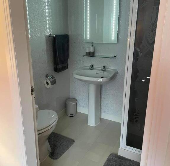 스탠다드 룸, Haste Ye Back