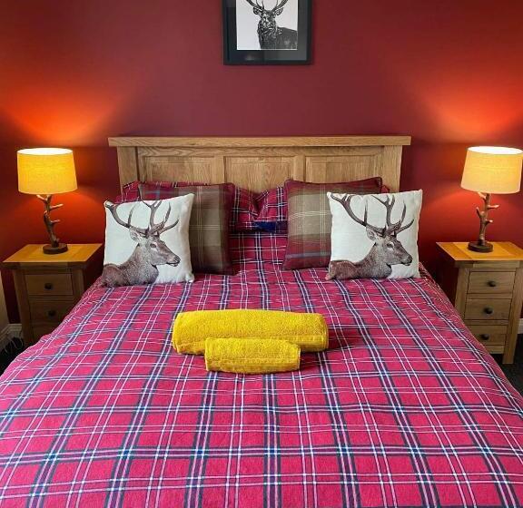 스탠다드 룸, Haste Ye Back