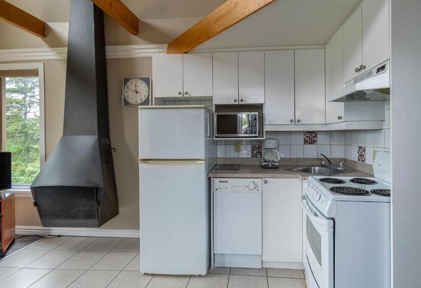 １ベッドルームアパートメント, Condo Climatisé Près Du Mont Sainte Anne Avec Parc Aquatique, Piscine, Spa, Gym, Arcades Et Billard