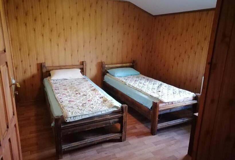 חדר סטנדרט, La Elvetian