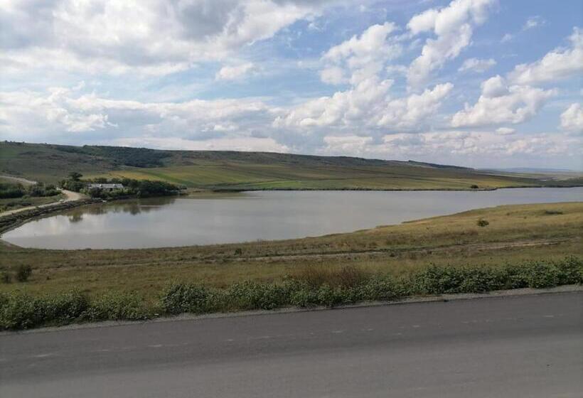 اتاق استاندارد یک نفره, La Elvetian